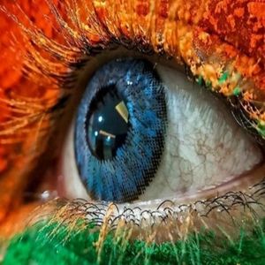 Meet your Posher, Ram